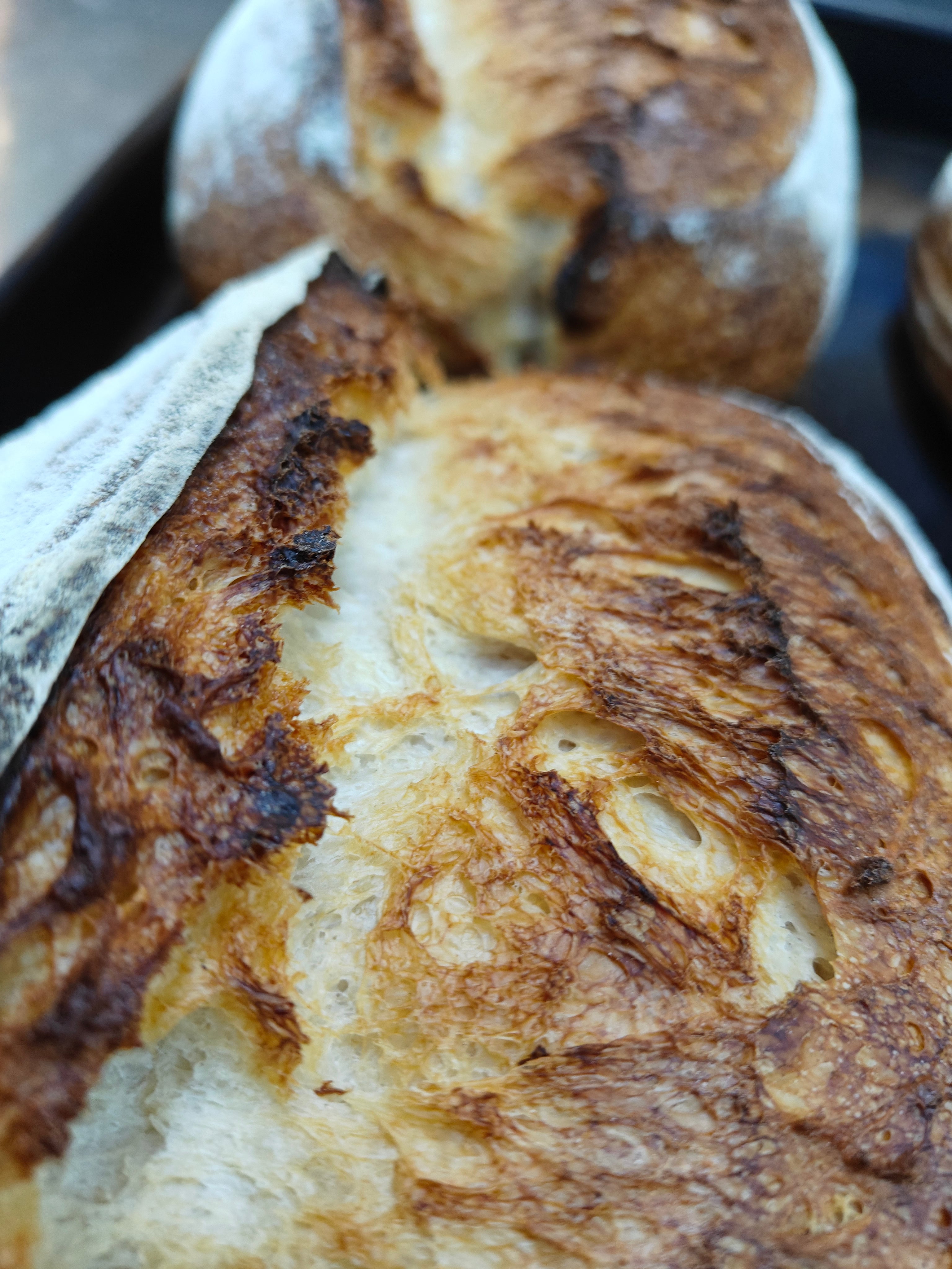OUR FAVOURITE SOURDOUGHS