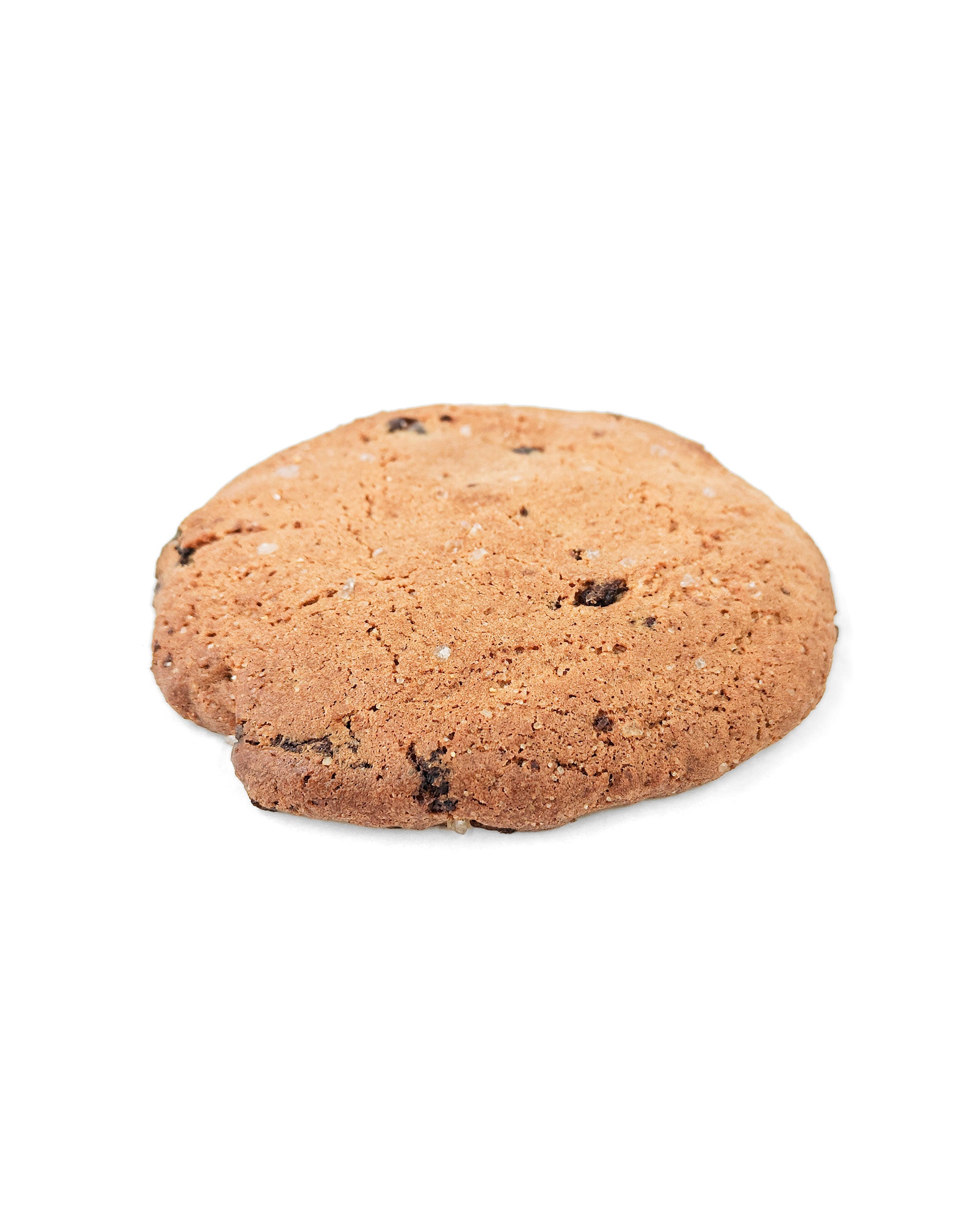 Chocolate Sourdough Cookie