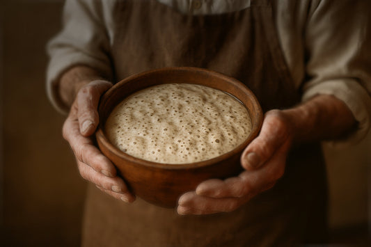 The Sourdough Chronicles: Ancient Wisdom for Modern Wellbeing.