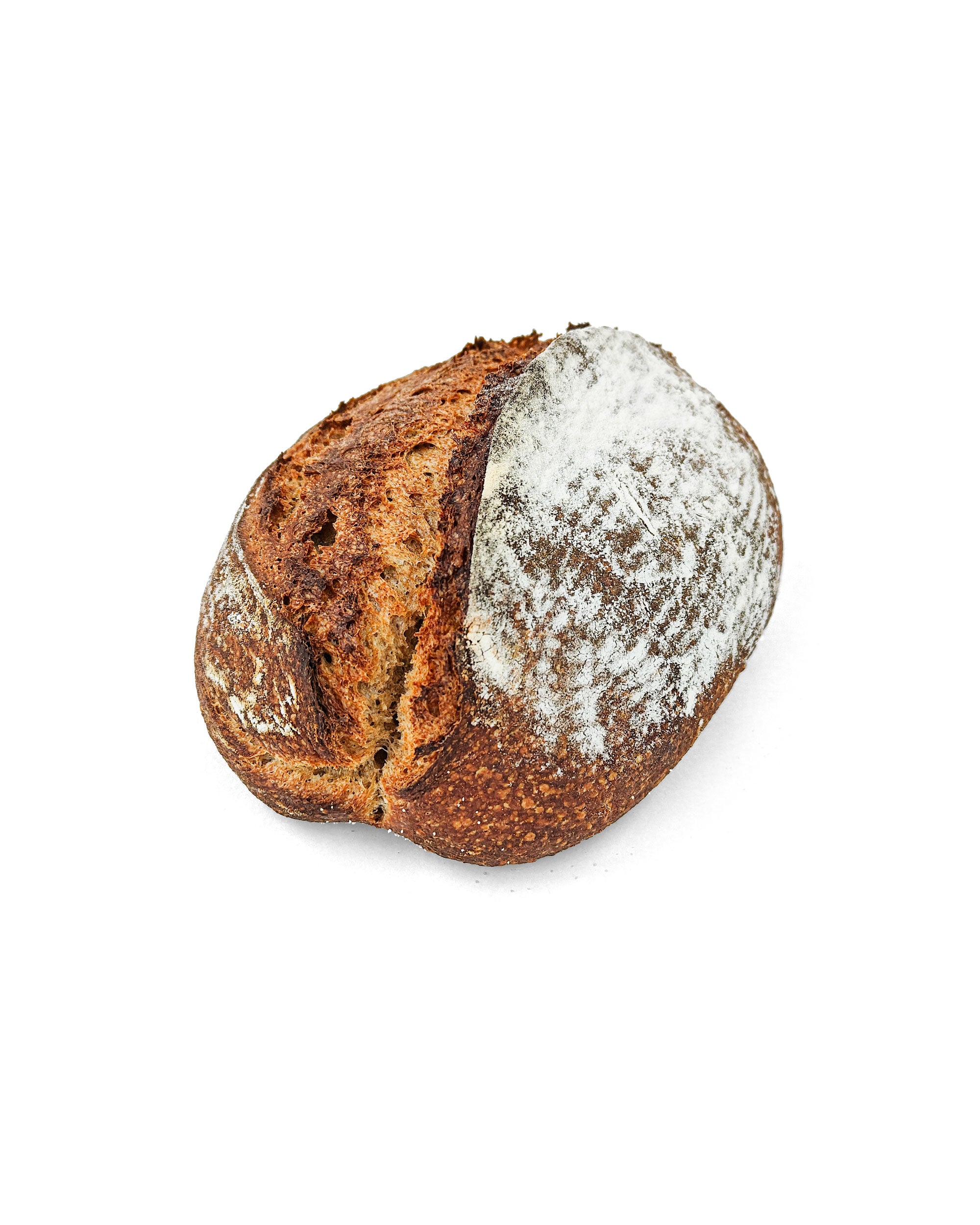 levain complet