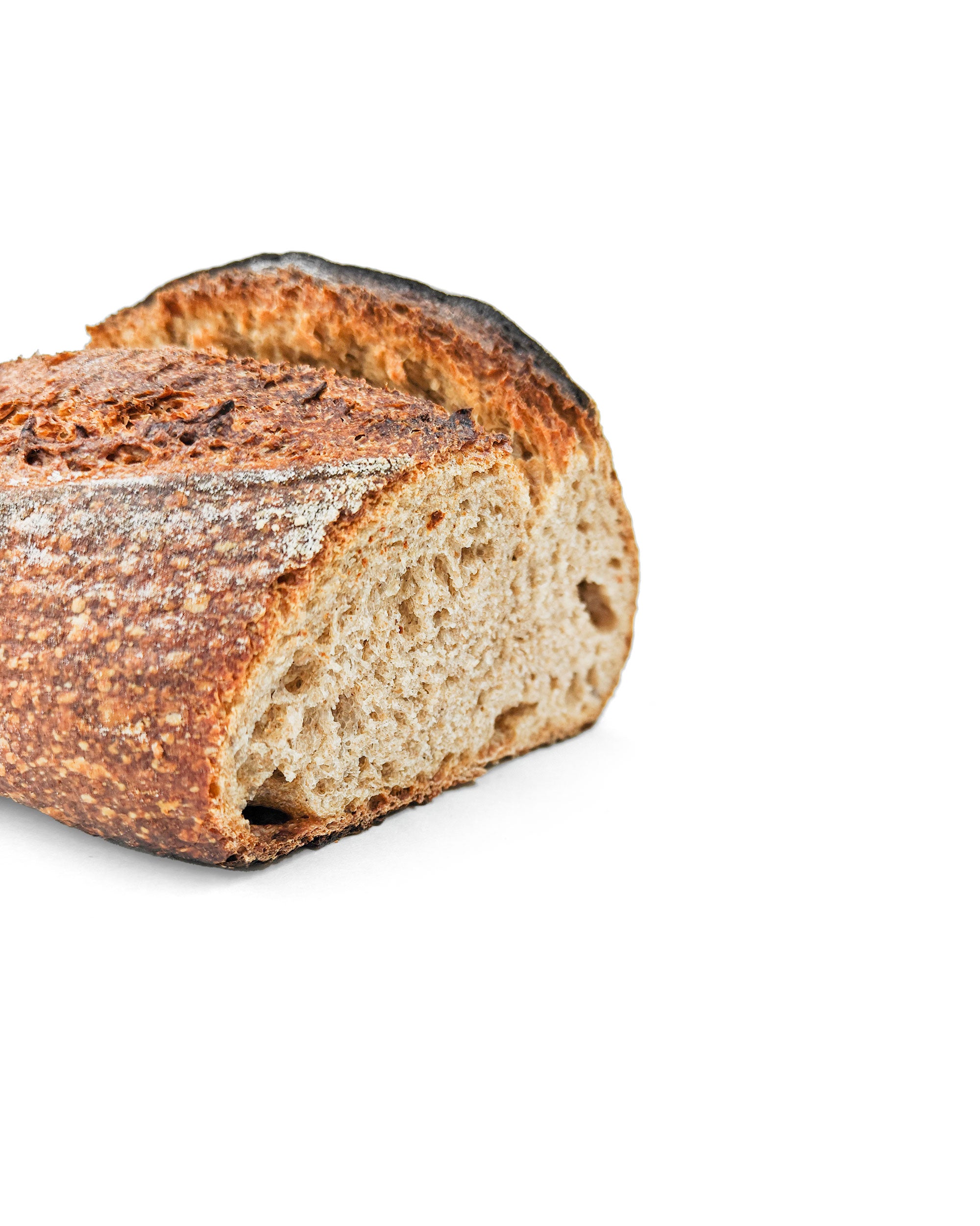 levain complet